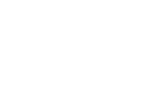 DeepVerse